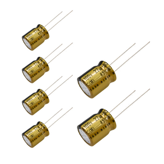 Nichicon FG 100V 22uf Audio Grade